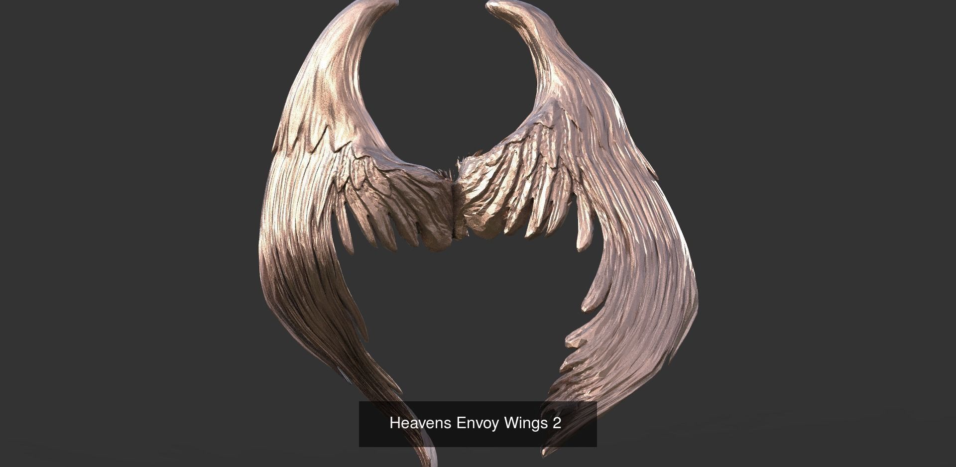 Angel Wings Collection 1 _18