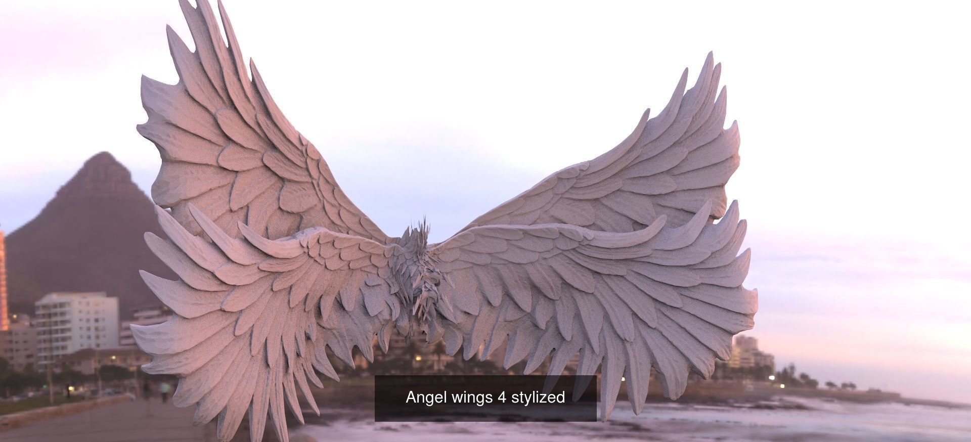 Angel Wings Collection 1 _10