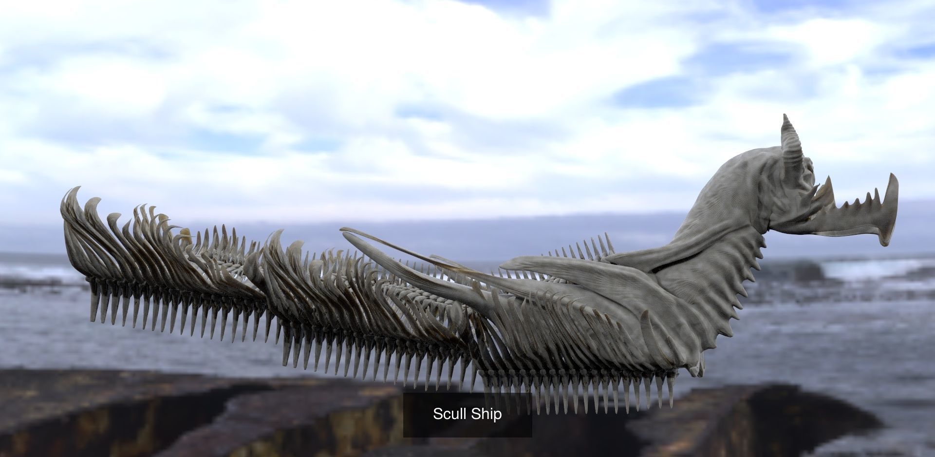 Scull Collection 1 3D skull _6