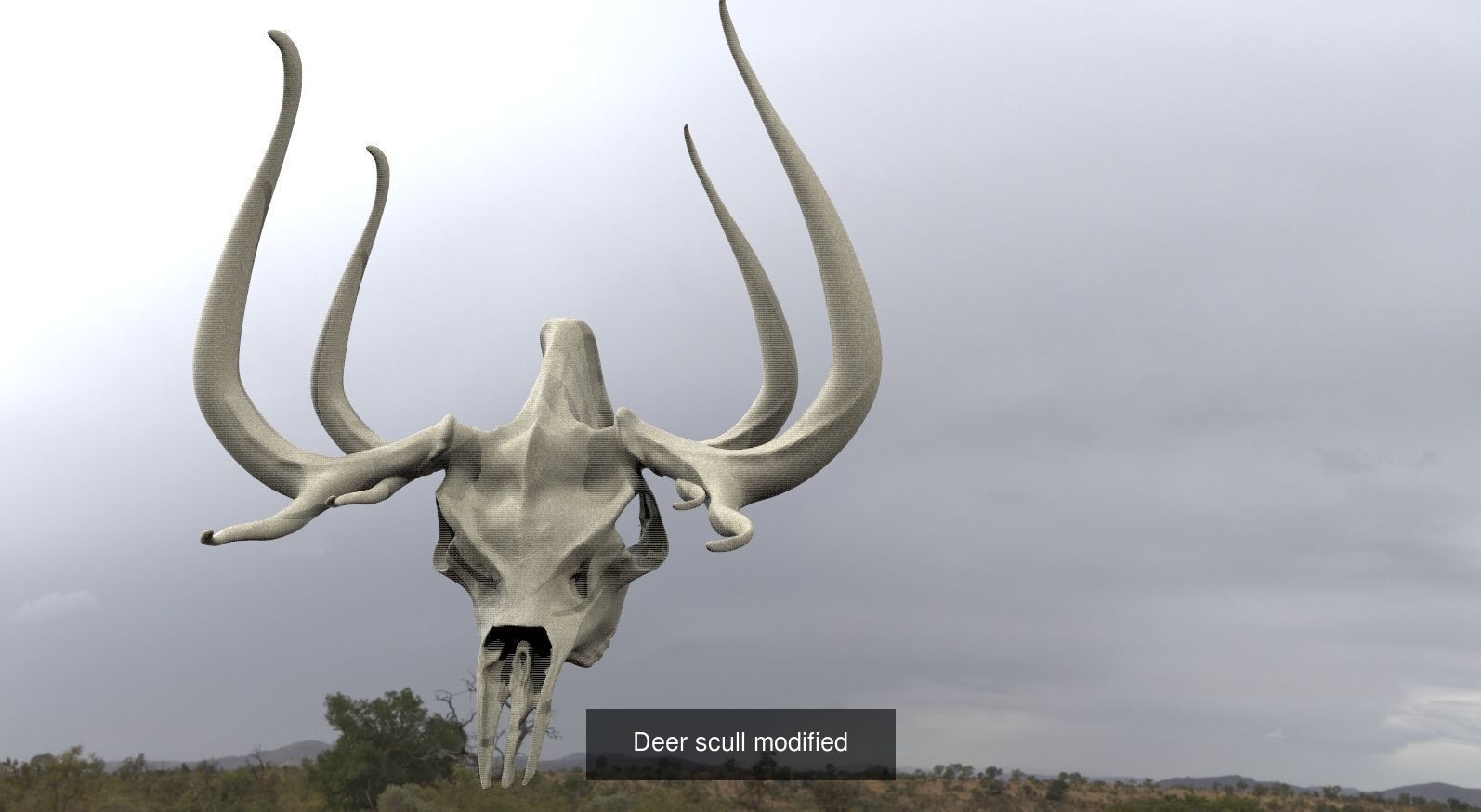 Scull Collection 1 3D skull _12