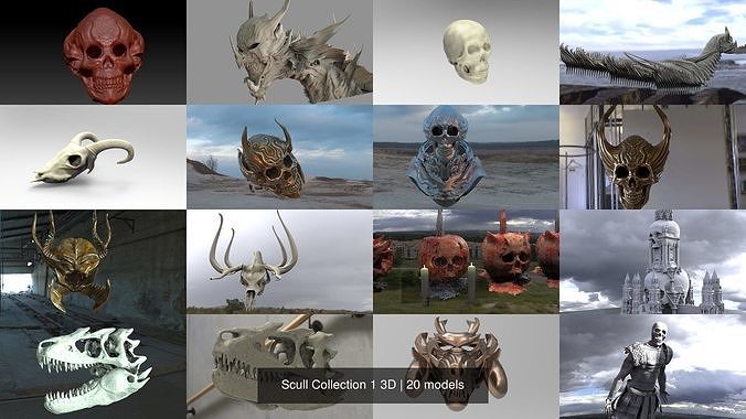 Scull Collection 1 3D skull 