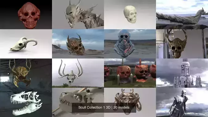 Scull Collection 1 3D skull 