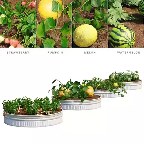 Kitchen garden vol 2 3D model