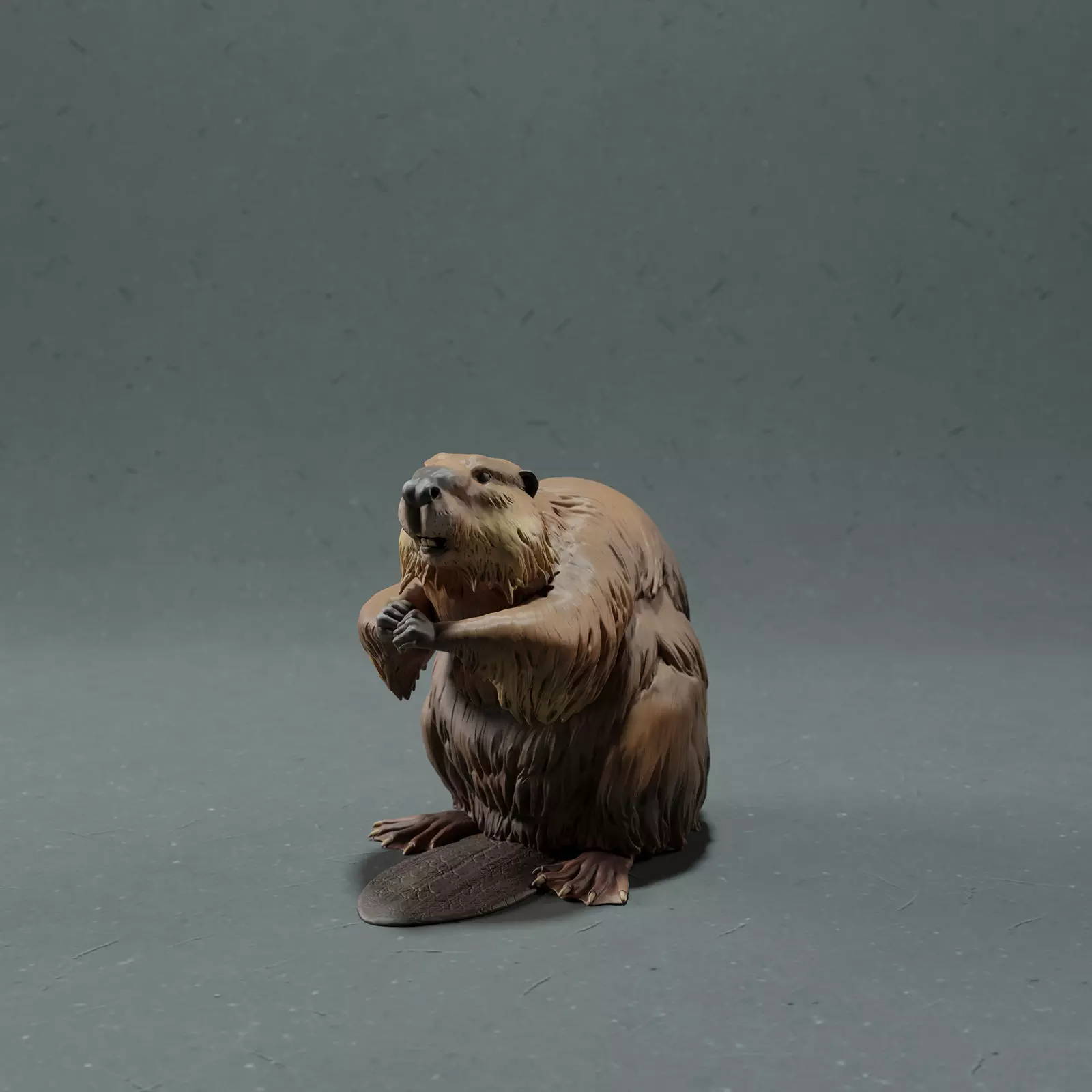 American Beaver 3D print model_0