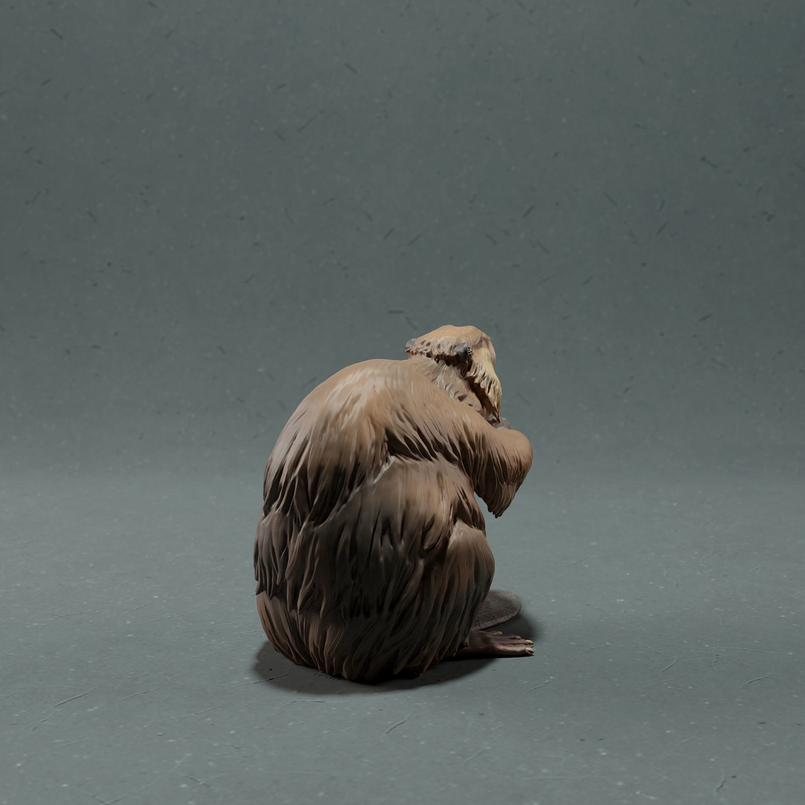 American Beaver 3D print model_3