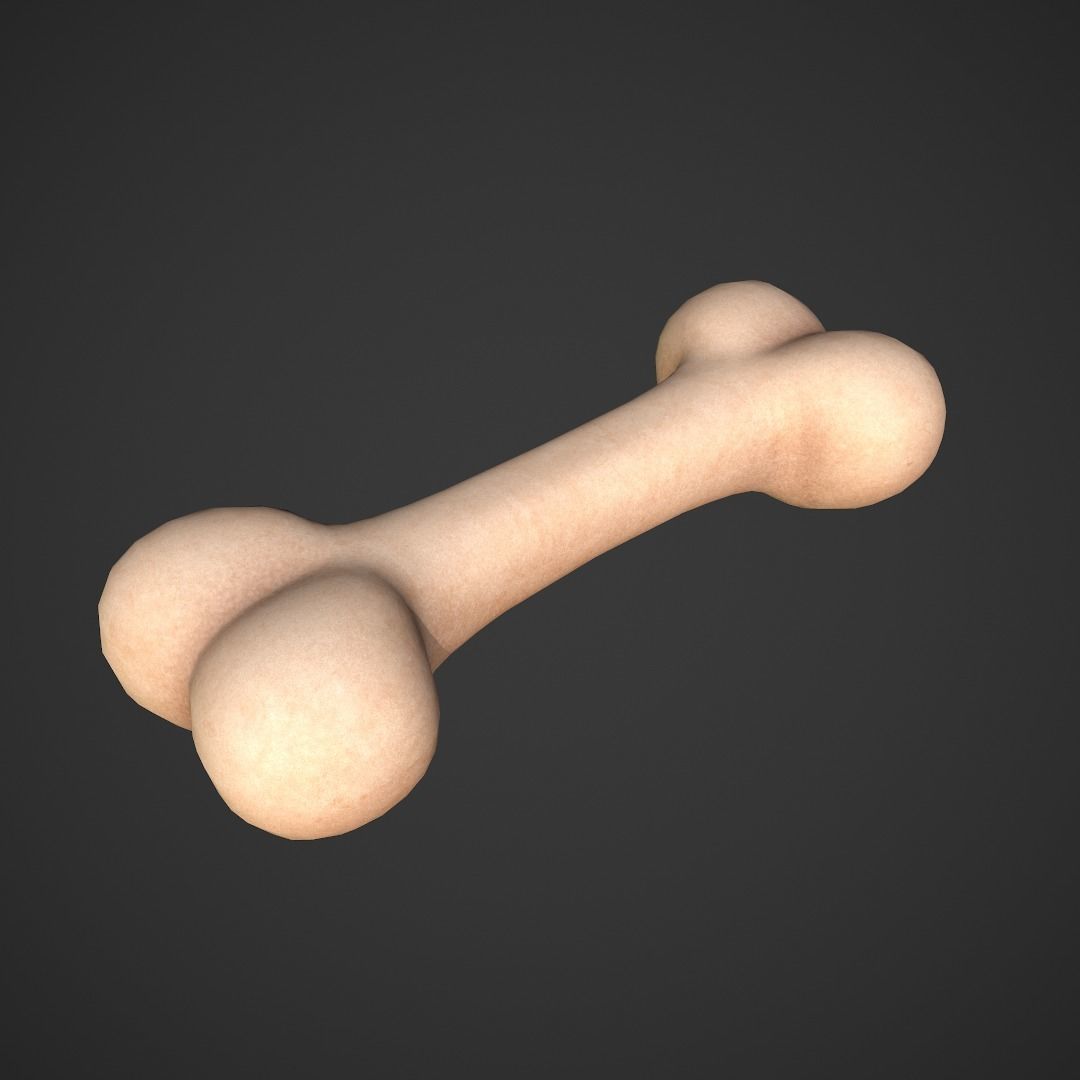 Bone Toon Low-poly 3D model_1