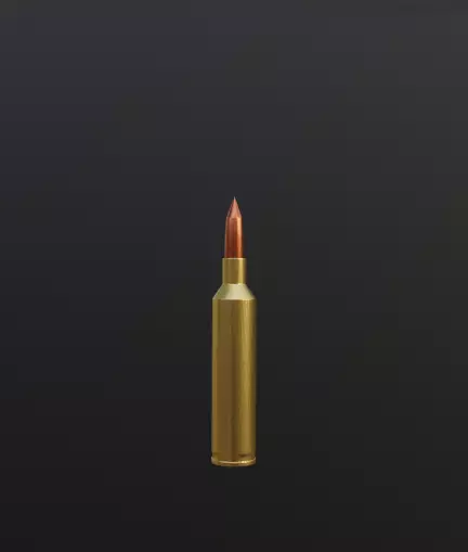 Bullet 3D model_0