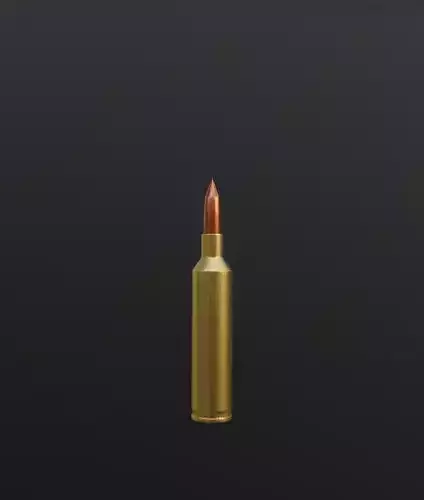 Bullet