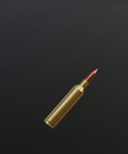 Bullet 3D model_1