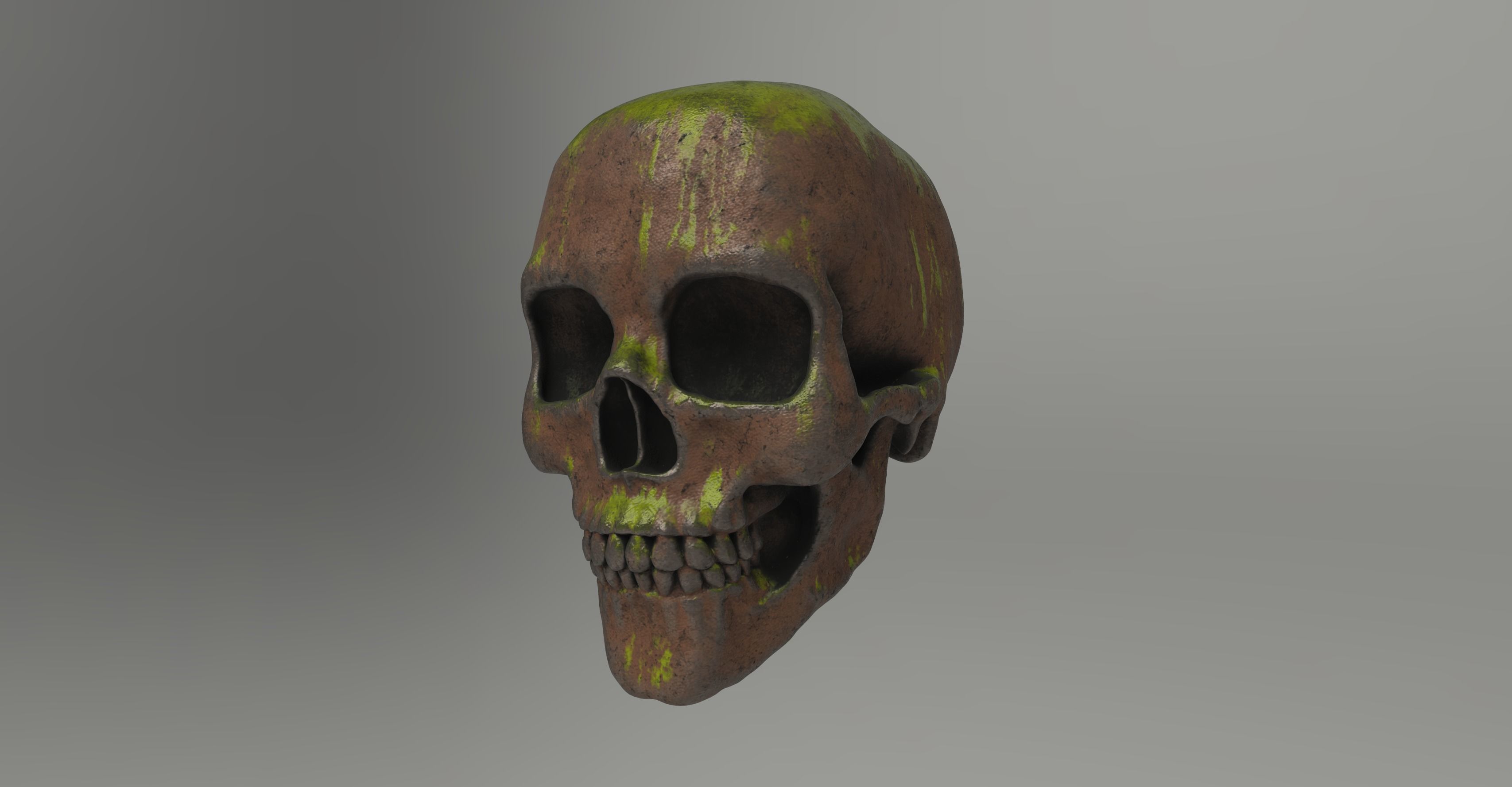 7 different textured human skulls with full 2K metal texture 3D model_2