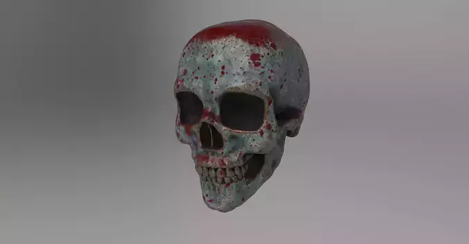7 different textured human skulls with full 2K metal texture