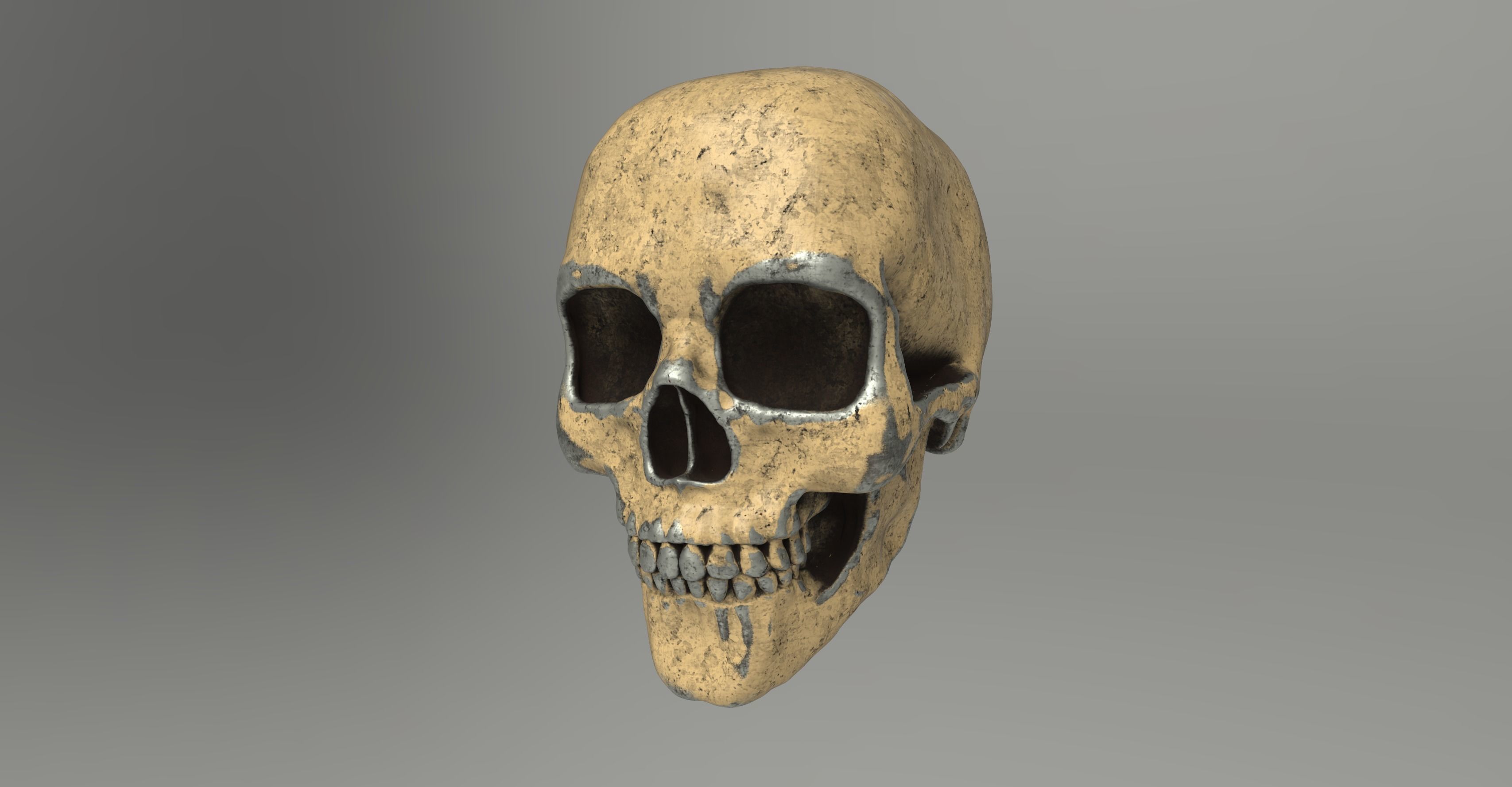 7 different textured human skulls with full 2K metal texture 3D model_1