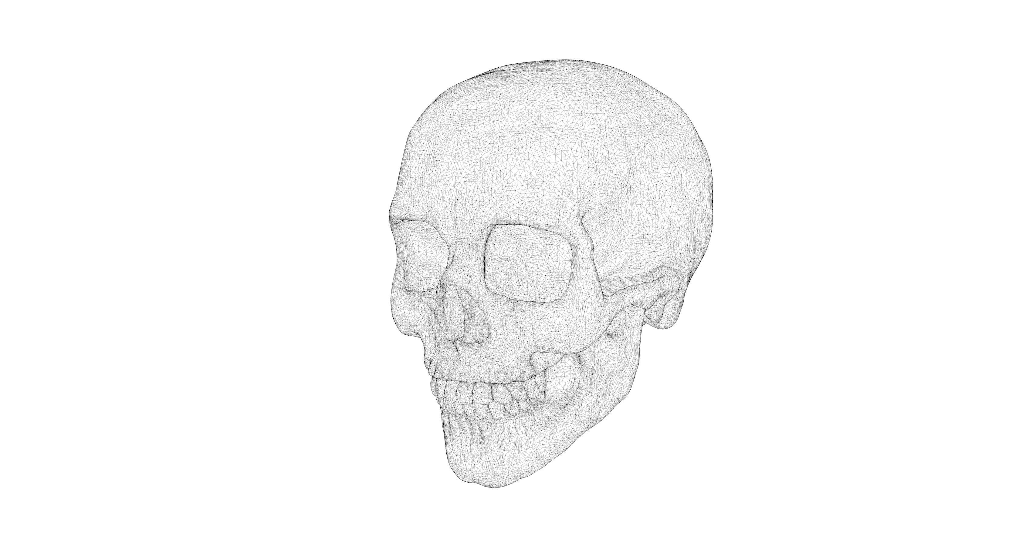 7 different textured human skulls with full 2K metal texture 3D model_7