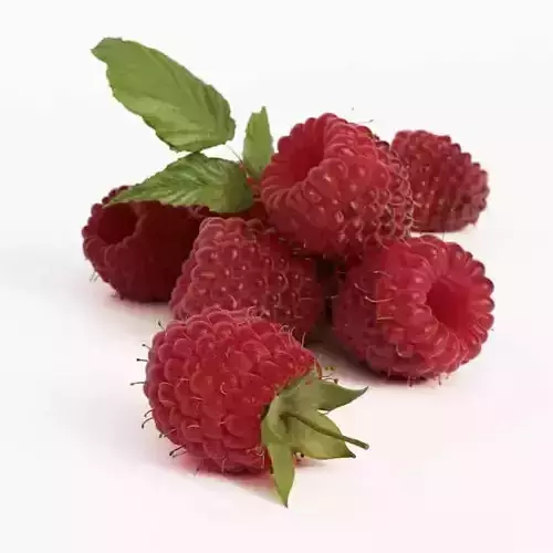 Red Raspberries With Green Stems 3D model