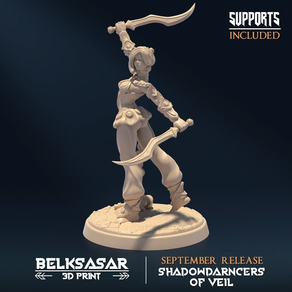 Shadowdancer of Veil A Nude and Normal 3D print model_2