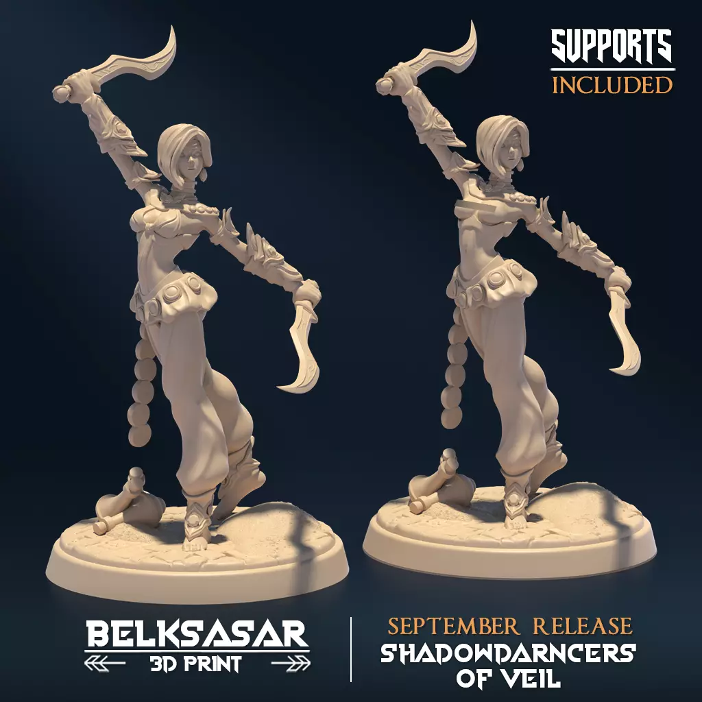 Shadowdancer of Veil A Nude and Normal 3D print model_0