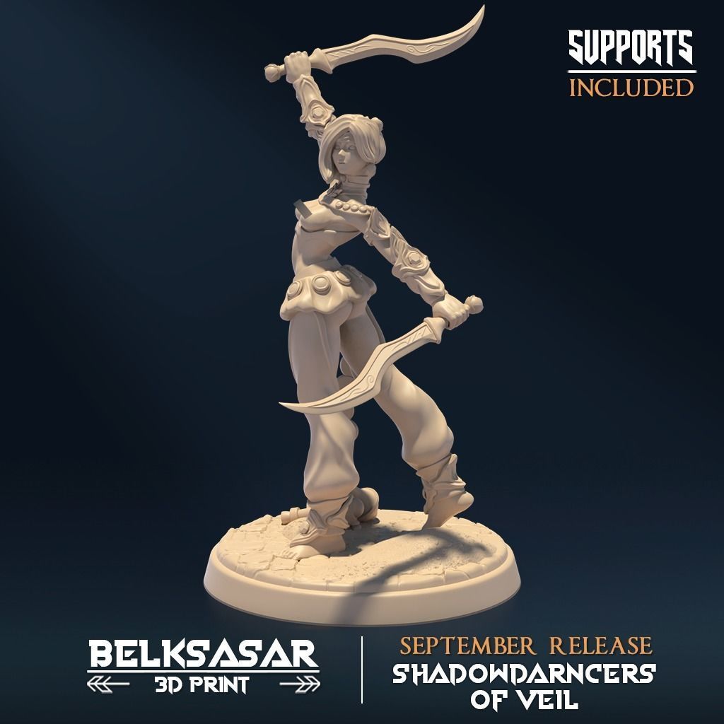 Shadowdancer of Veil A Nude and Normal 3D print model_1
