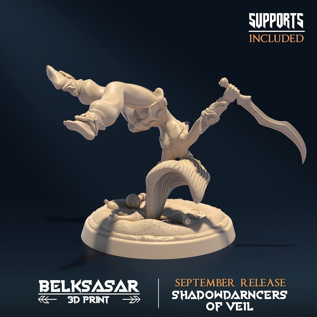Shadowdancer of Veil B Nude 3D print model_1