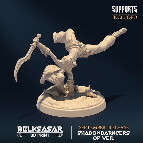 Shadowdancer of Veil B Nude 3D print model