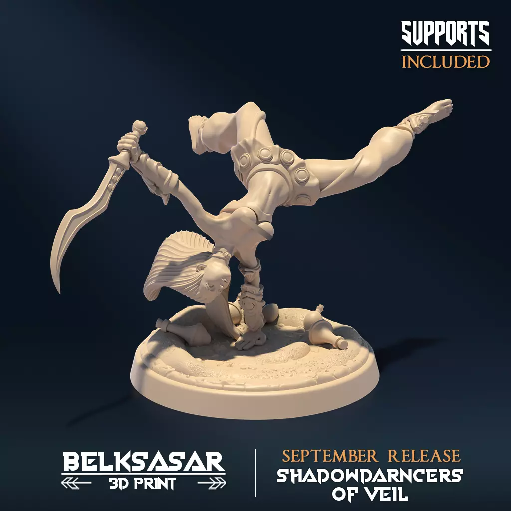 Shadowdancer of Veil B Nude 3D print model_0