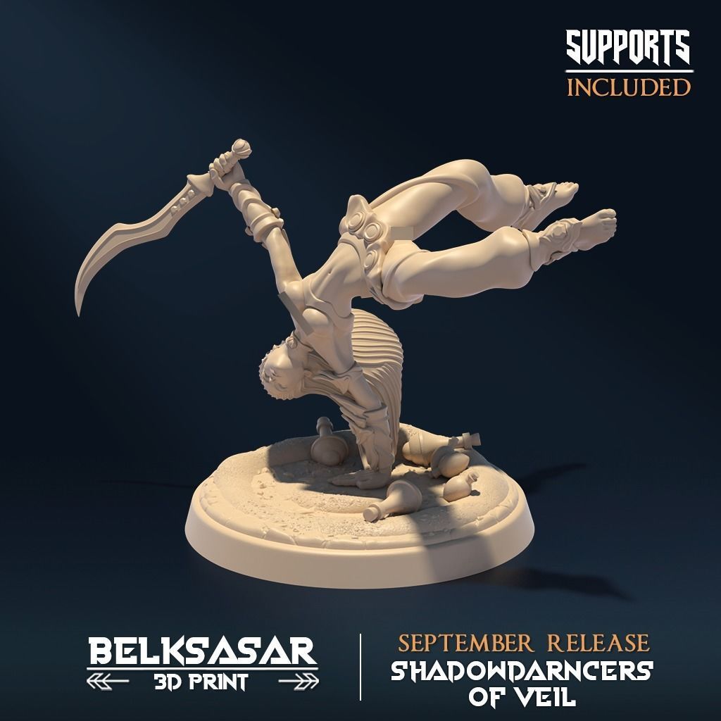 Shadowdancer of Veil B Nude 3D print model_2