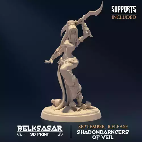 Shadowdancer of Veil C Nude 3D print model
