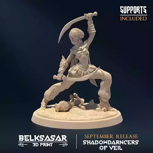 Shadowdancer of Veil D Nude