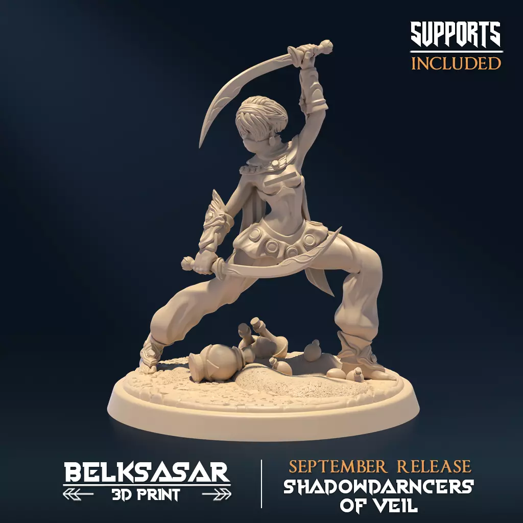 Shadowdancer of Veil D Nude 3D print model