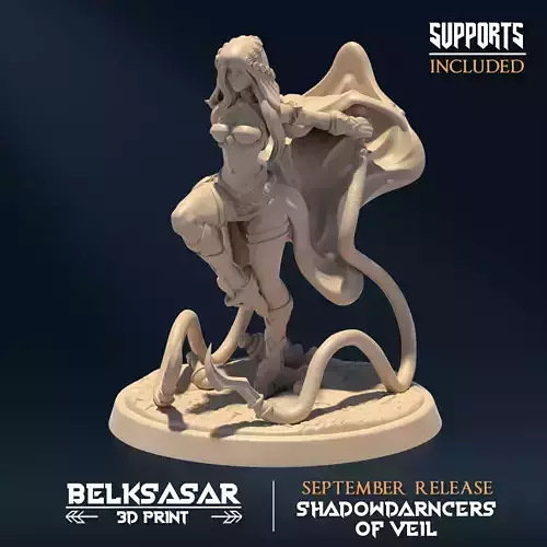 Shadowveil Assassin B