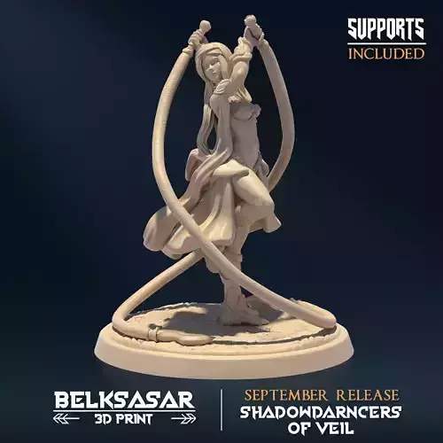 Shadowveil Assassin C