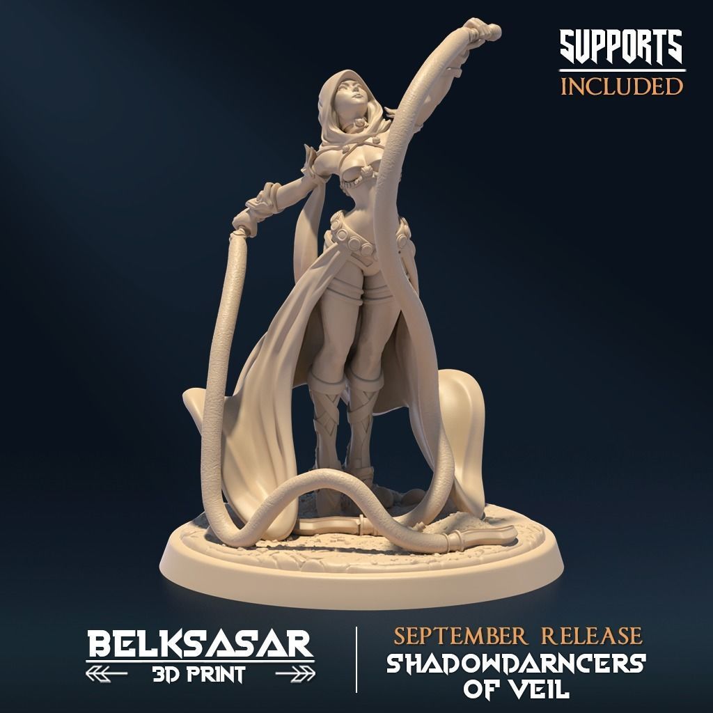 Shadowveil Assassin D Nude and Normal 3D print model_2