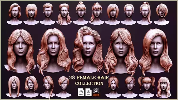28 Female hair