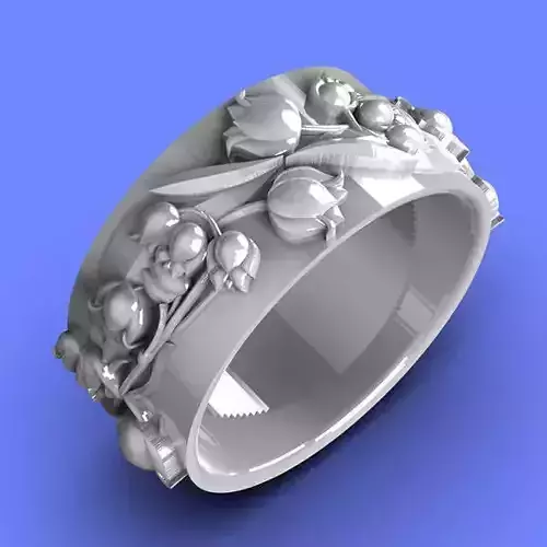 Jewelry Spring ring