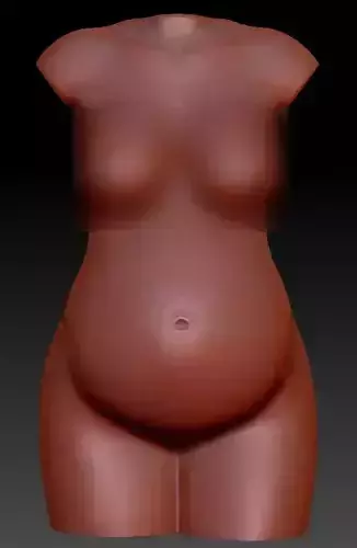 NEW PREGNANT WOMAN TORSO 3D print model