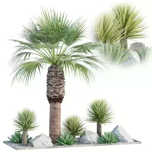 Outdoor Palm Garden collection vol 146