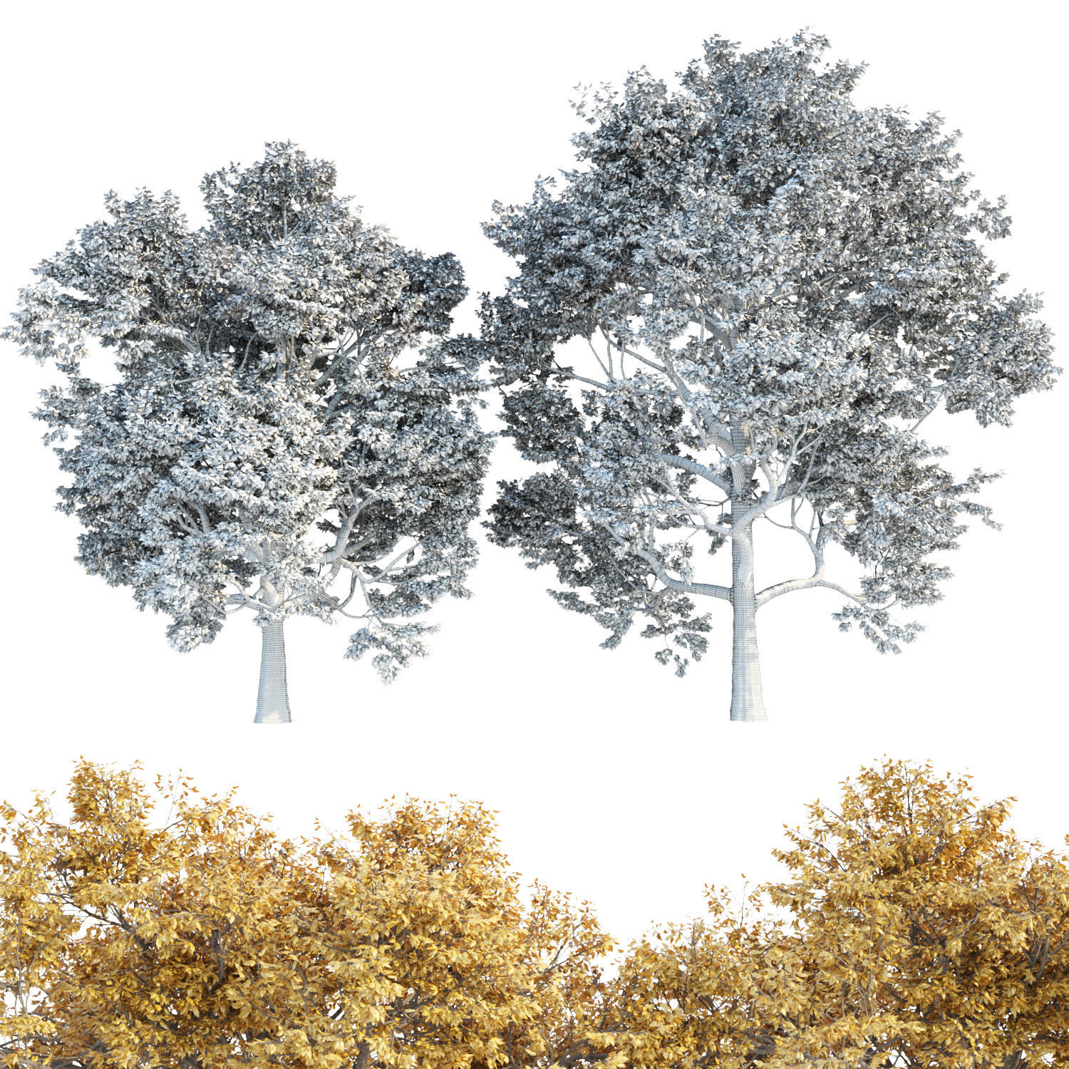 Autumn Maple Trees Collection vol 147 3D model_5
