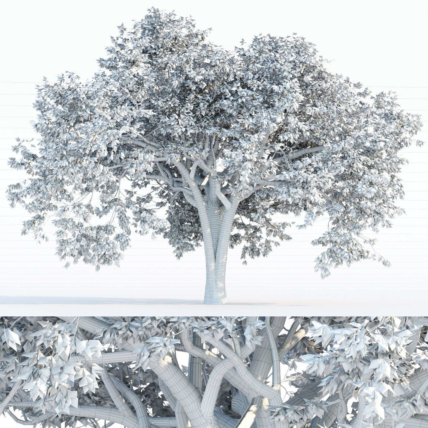 Autumn Maple Trees Collection vol 147 3D model_6