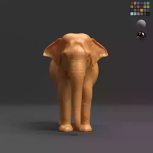 Asian Elephant - BaseMesh 3D model