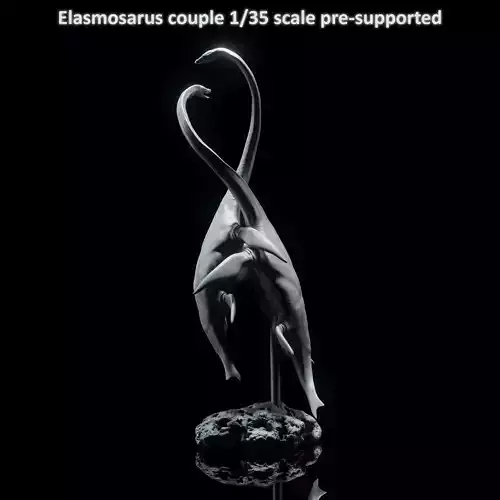Elasmosaurus couple 1-35 scale pre-supported marine reptile 3D print model