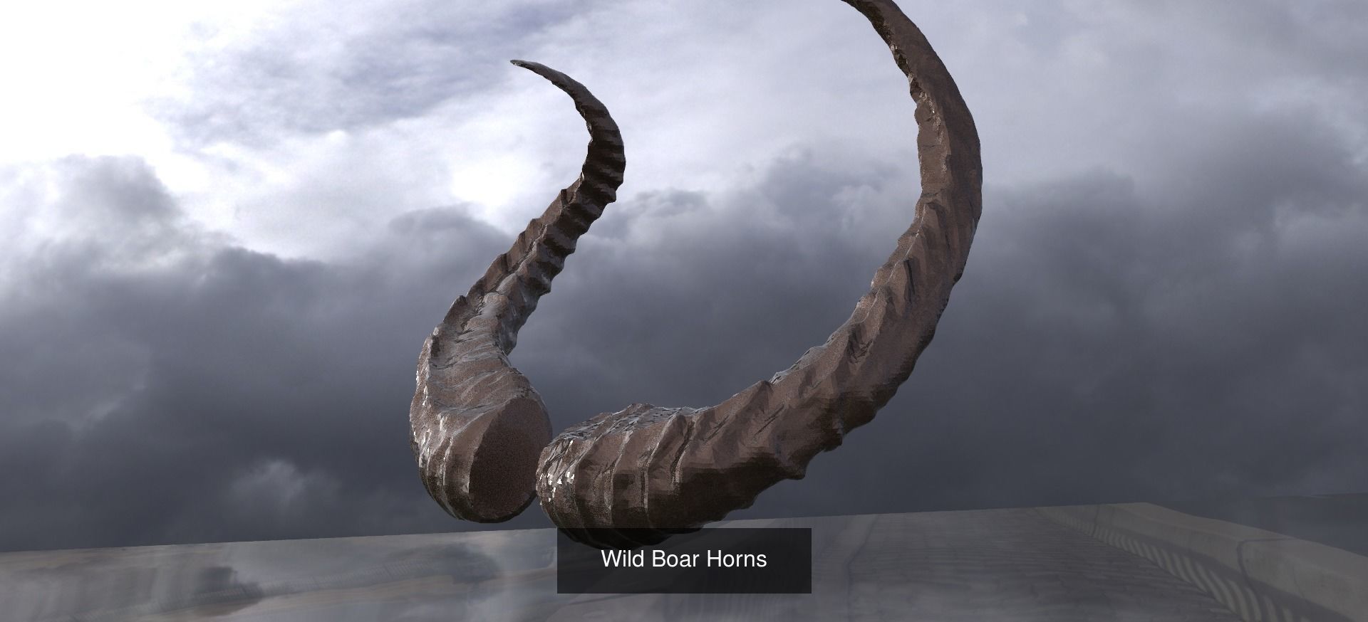 Horns Collection pair of horned cuffs _3