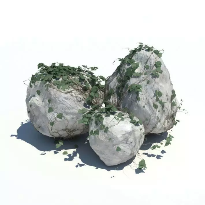 Large Boulders Covered In Vines 3D model_0