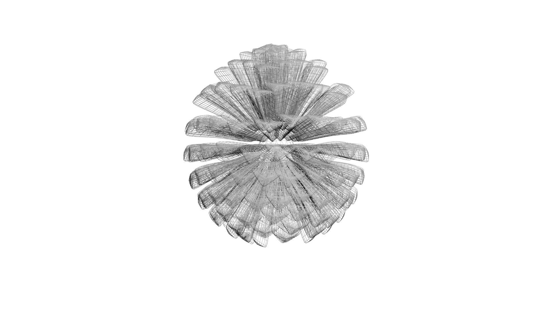 Fir Cone 3D model_44