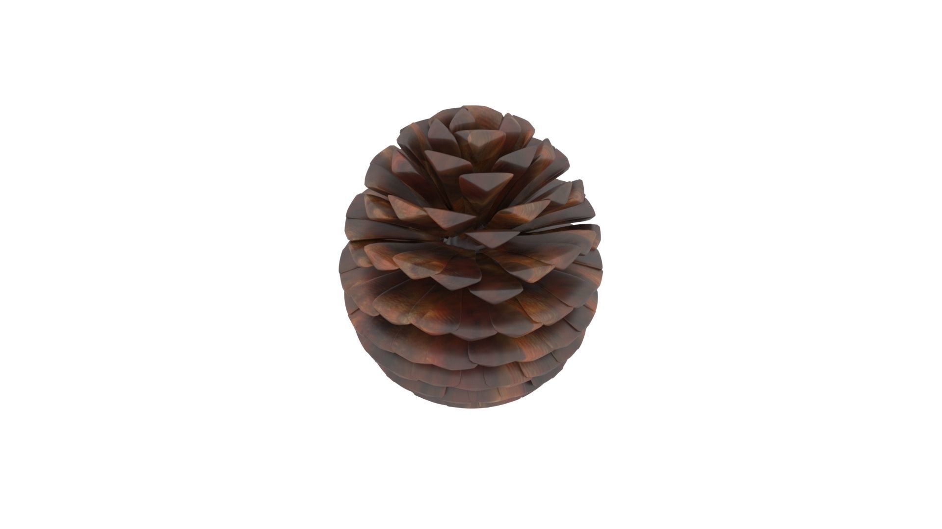 Fir Cone 3D model_20