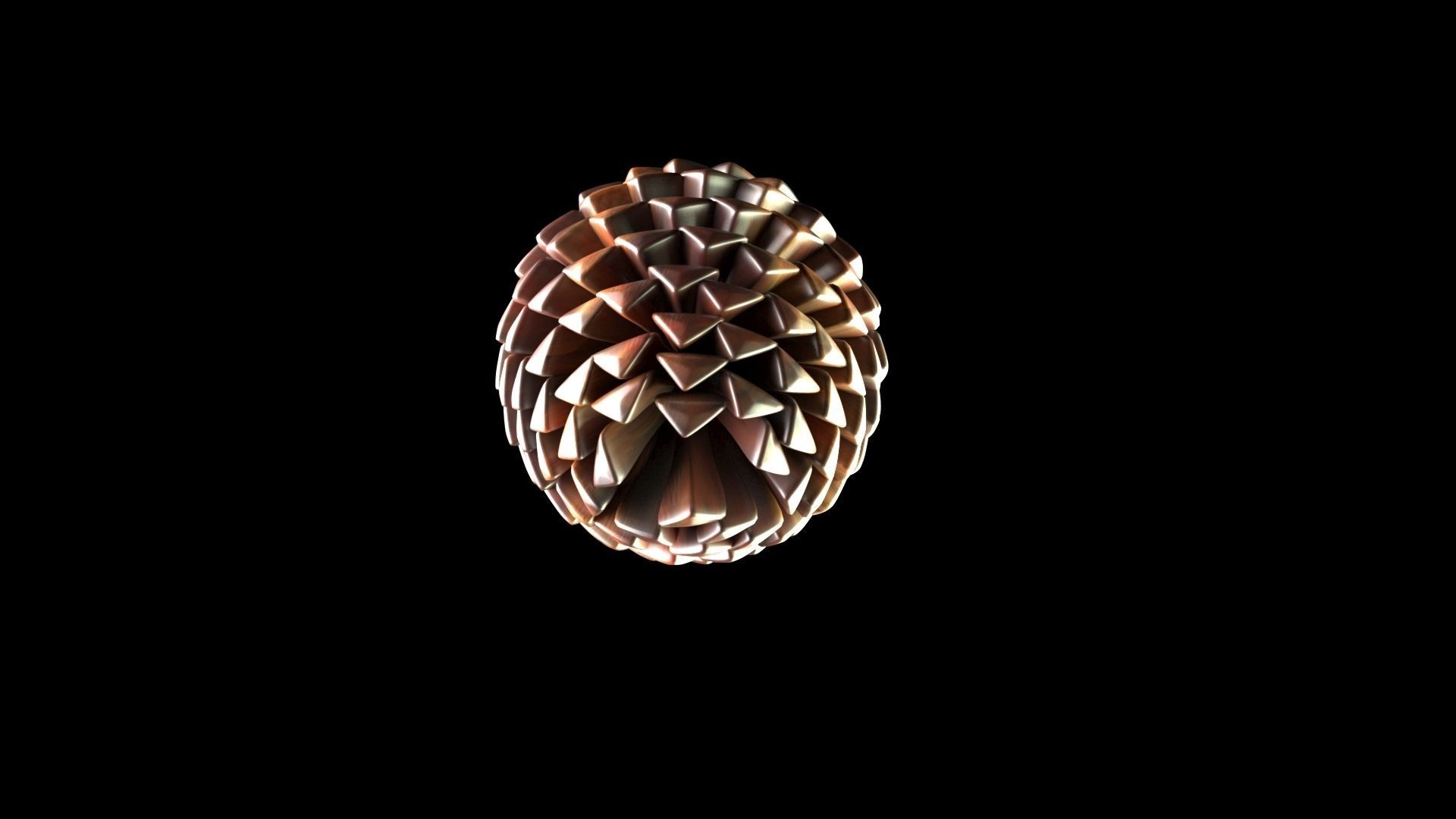 Fir Cone 3D model_5