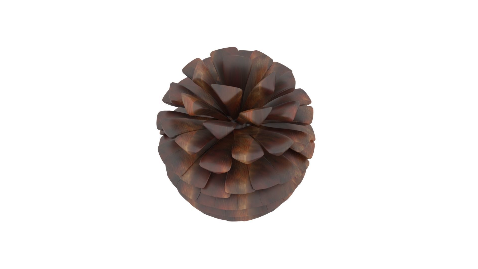 Fir Cone 3D model_22