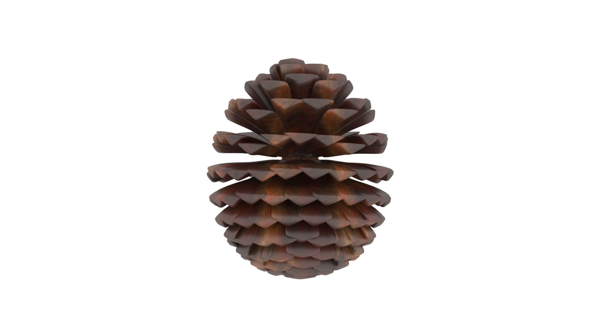 Fir Cone 3D model_27