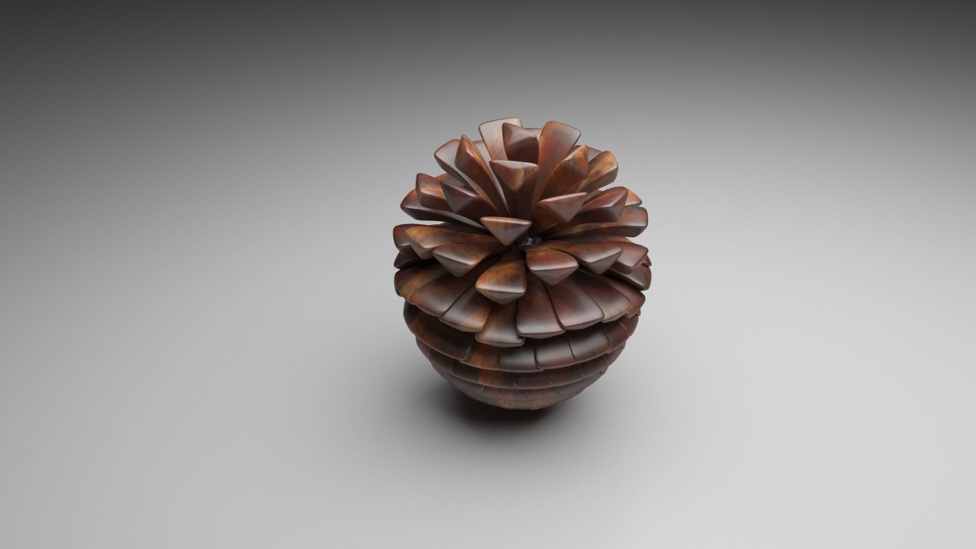 Fir Cone 3D model_51
