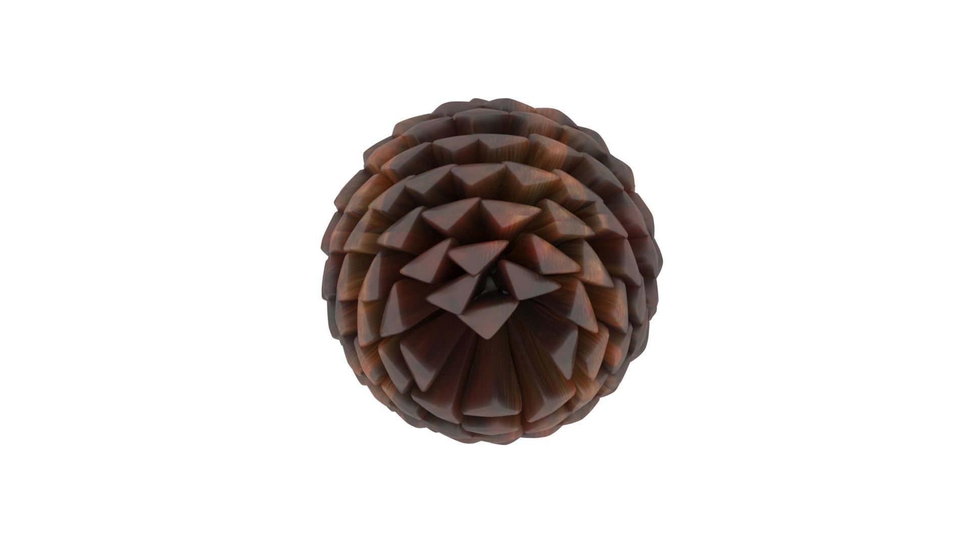 Fir Cone 3D model_24