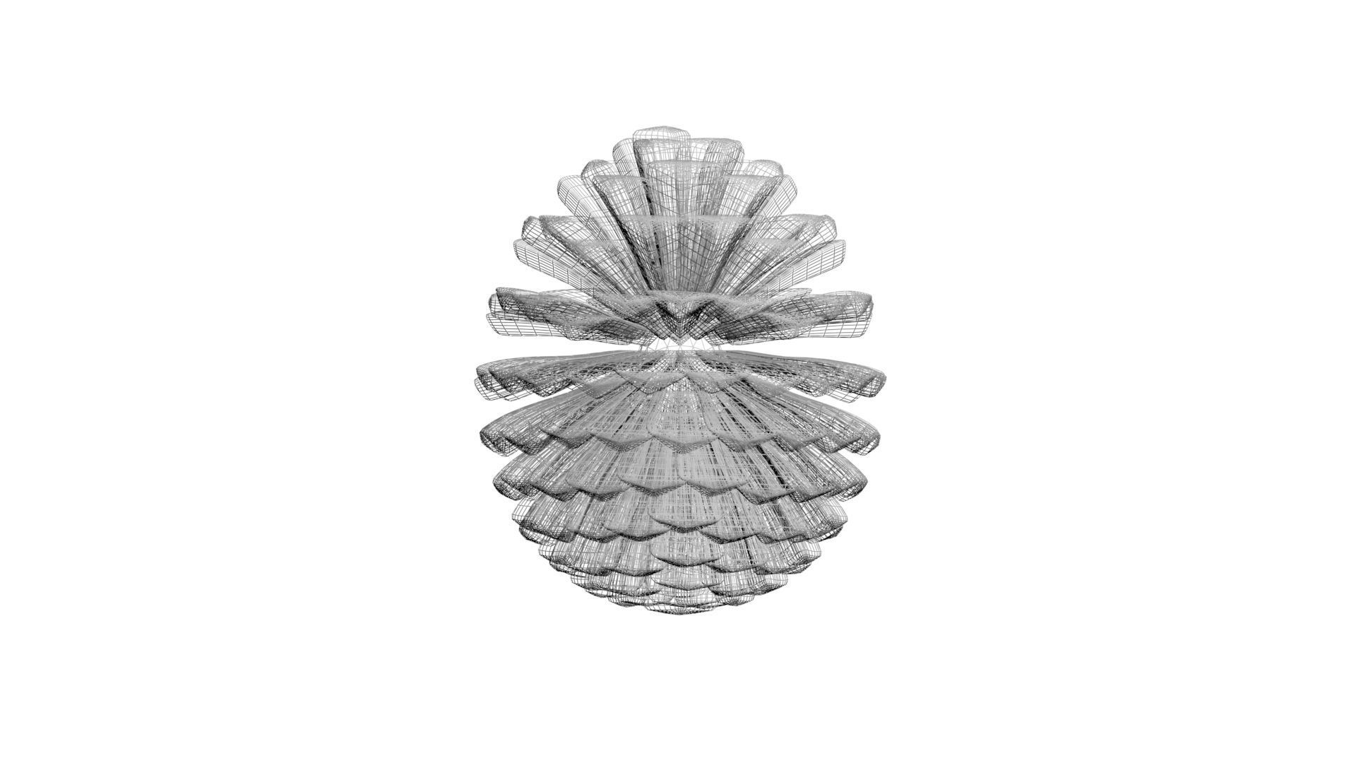 Fir Cone 3D model_43