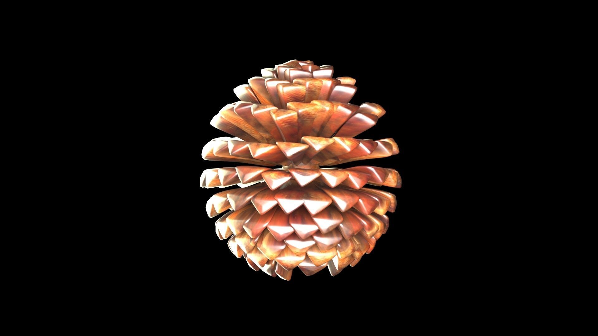 Fir Cone 3D model_9